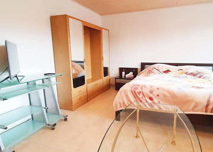 Sonne * 시그스도프